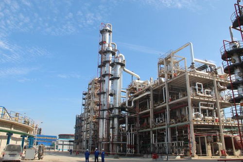 摒棄粗老笨重,濱州化工瞄準 高精尖