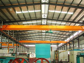 山東電動(dòng)雙梁起重機(jī) 山東電動(dòng)葫蘆廠家 山東起重機(jī)廠家